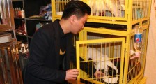 福州80后小伙林锦捷:开宠物店创业 从狗保姆到宠物店Boss